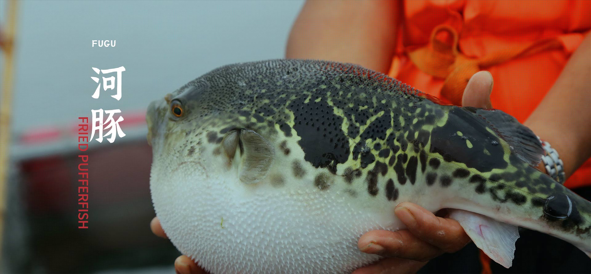 永乐高·70net(中国集团)官方网站 - Best Of Best