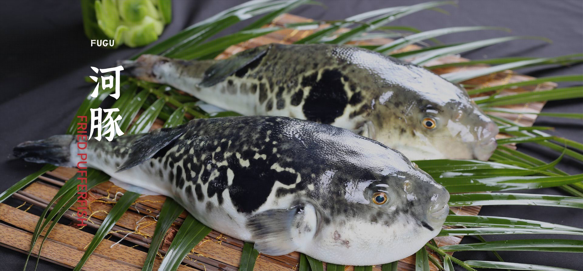 永乐高·70net(中国集团)官方网站 - Best Of Best